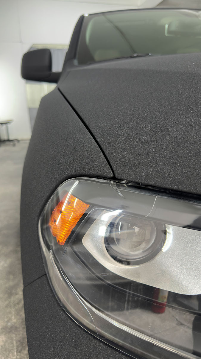 мелкий раптор черный